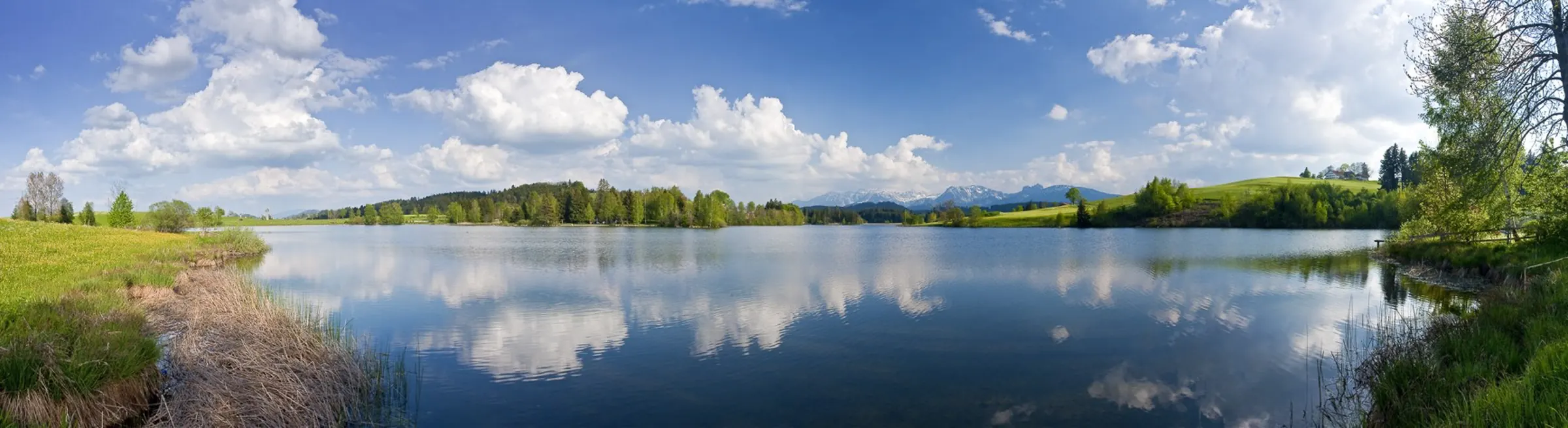 Panorama des Schwaltenweihers mit Spiegelung der Wolken